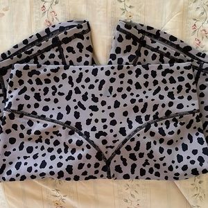 The Ascend Rider Short - Snow Leopard Midnight